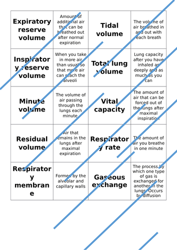 Respiratory System- Definition Match Up