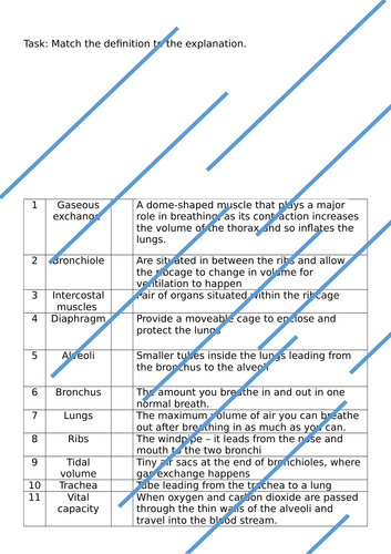 Cardiorespiratory -Match Up Activity