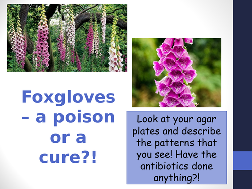 B6.3 Discovering drugs