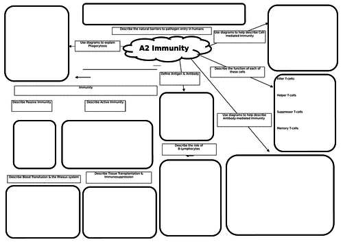 A2 Biology Immunity Revision Mat