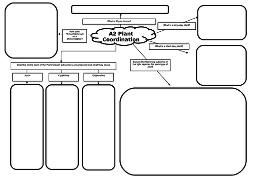 A2 Biology Plant Coordination Revision Mat