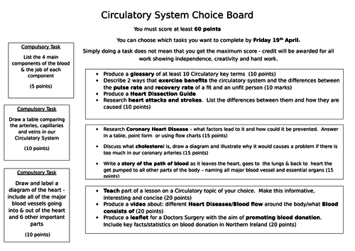 KS3 Biology Circulation Choice Board