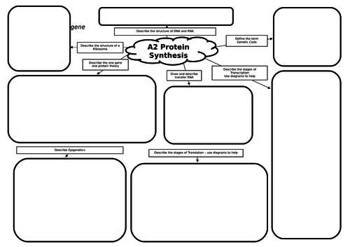 A2 Biology Protein Synthesis Mind Map/Revision Mat