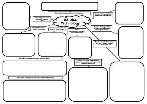 A2 Biology Gene Technology Mind Map/Revision Mat