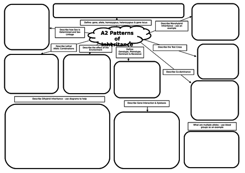 A2 Biology Patterns of Inheritance Mind Map/Revision Mat