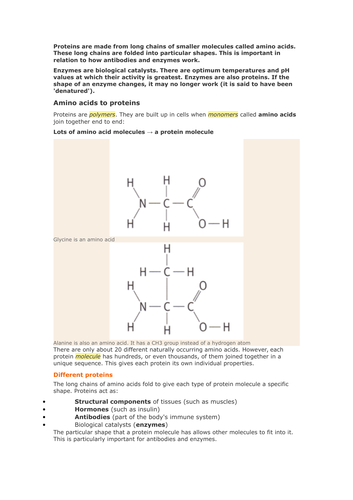 Metabolism - AQA 9-1 GCSE Biology