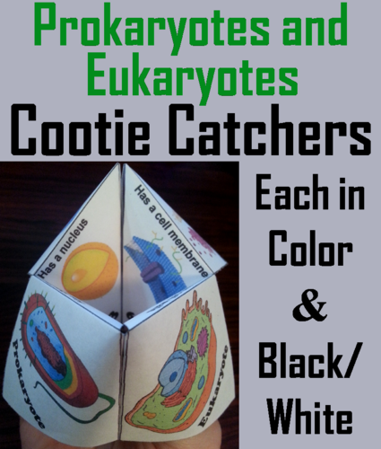 Prokaryotic and Eukaryotic Cells Cootie Catchers