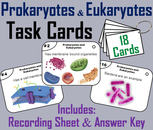 Prokaryotic and Eukaryotic Cells Task Cards