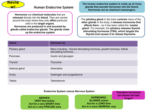 Homeostasis & Response Topic 5, Part 2 Revision Card Activities for New AQA Biology GCSE