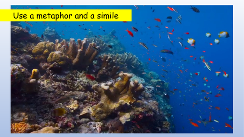 Blue Planet writing task