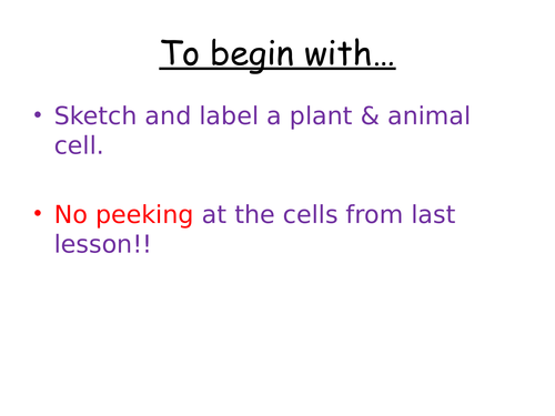 Specialised Cells KS3/KS4