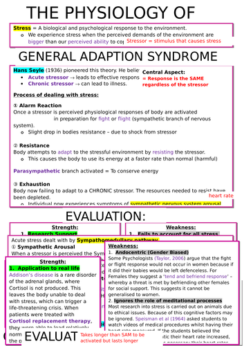 AQA Psychology Revision Notes: Stress