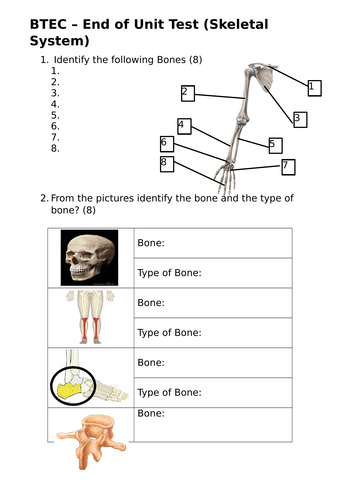 BTEC Level 3 End of unit test - Skeletal System