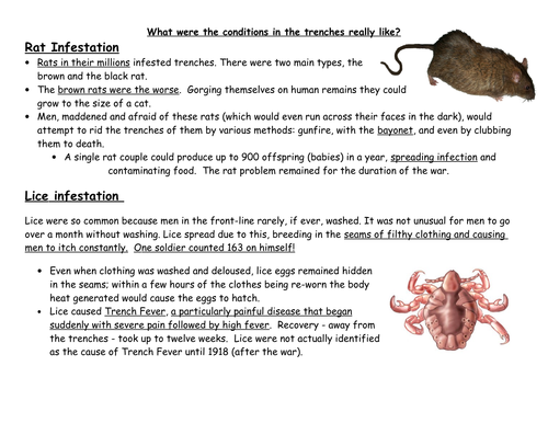 Trench conditions - differentiated tasks by target grades