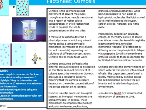 Osmosis Factsheet Worksheet Science Biology Starter Keywords Activity KS3 GCSE Cover Homework