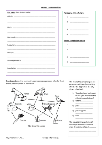 ecosystem-worksheet-pdf-kid-worksheet-printable