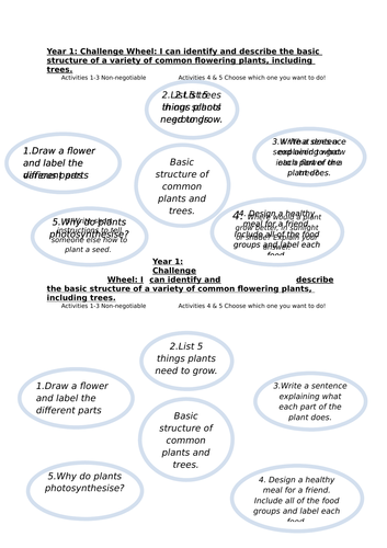Year 1 - Science Challenge Wheels for all topics