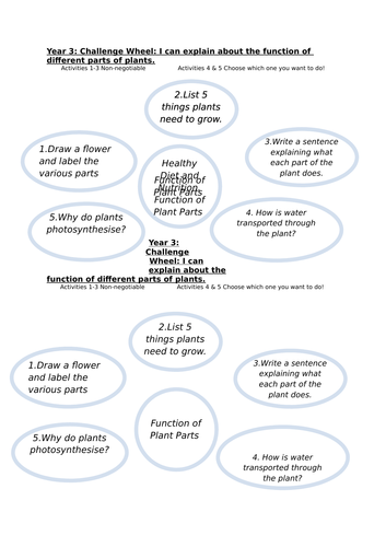 Year 3 - Science Assessment Challenge Wheels for all topics.