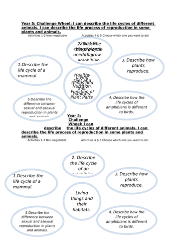 Year 5 - Science Assessment Challenge Wheels for all topics
