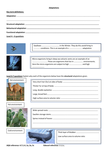 GCSE Biology Higher new spec Ecology Adaptation worksheet