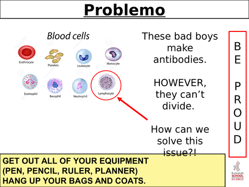 AQA B6.5 Making monoclonal antibodies