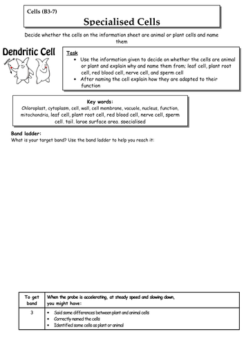 KS3 lesson on specialised cells | Teaching Resources