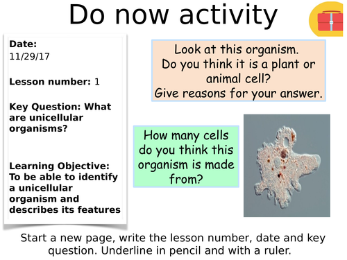 KS3 lesson on Unicellular organisms