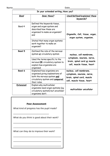 KS3 lesson on Organ Systems