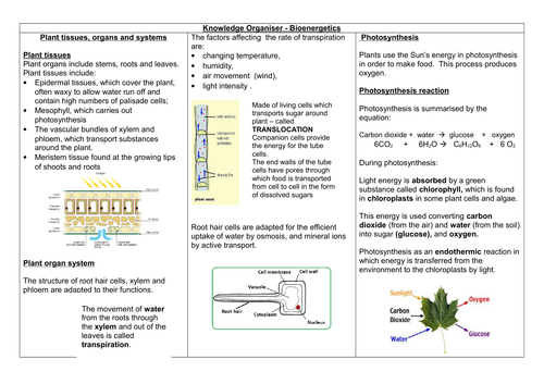 AQA 9 -1 GCSE BIOLOGY - Paper One Bioenergetics Knowledge Organiser