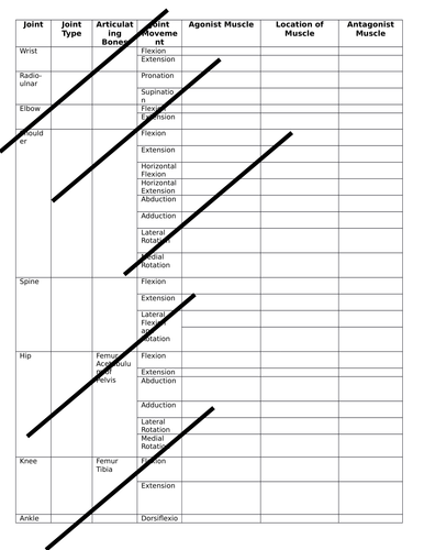 Anatomy and Physiology Muscles, Movement and Location