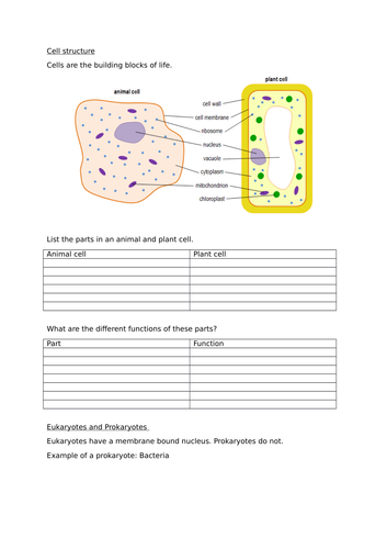 Cell structure revision pack