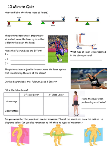 GCSE PE - Lever systems - Worksheet - Apply your Knowledge - Quiz