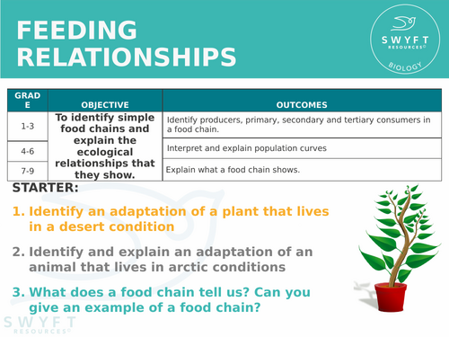 NEW AQA GCSE Trilogy (2016) Biology – Feeding Relationships