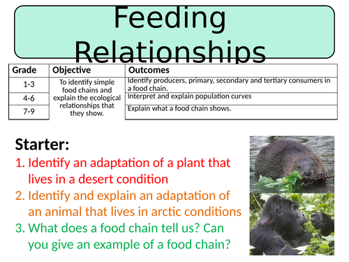 NEW AQA GCSE Trilogy (2016) Biology – Feeding Relationships