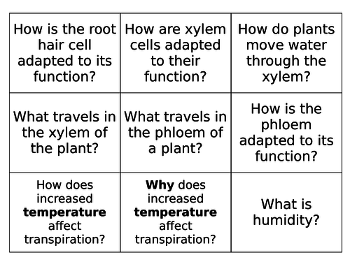 Plant Organs Flash Cards - AQA 9-1 Biology (Trilogy) Organisation - Revision