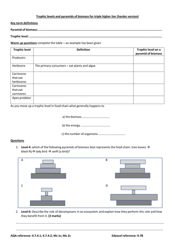 GCSE Ecology new spec for triple higher students: tropic levels and pyramids of biomass