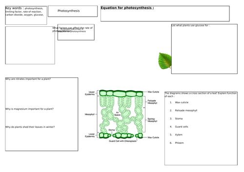 GCSE 9-1 Photosynthesis | Teaching Resources