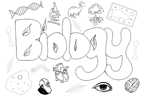 Biology science poster colouring Christmas activity end of term