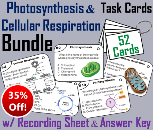 Photosynthesis and Cellular Respiration Task Cards