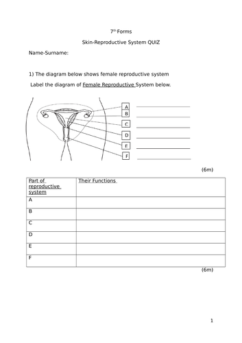 Grade 7 Reproductive System Quiz Teaching Resources 