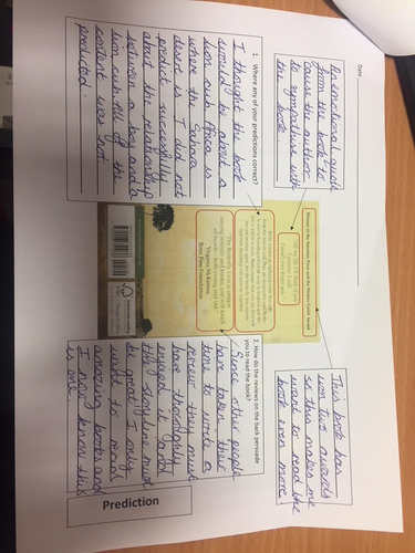 The Butterfly Lion, The Iron Man & Varjak Paw (Guided Reading / Reading Journal - 36 lessons)