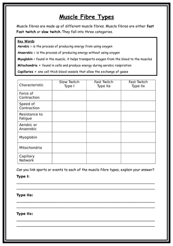 Worksheet on: Types of Muscle Fibre - GCSE PE - Edexcel | Teaching