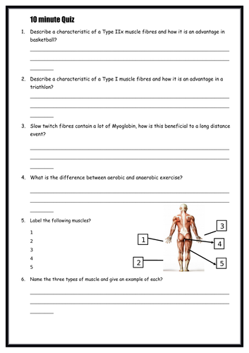 10 minute quiz - Starter Task - Muscles - GCSE PE - Edexcel