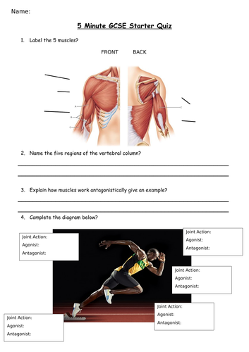 edexcel pe coursework