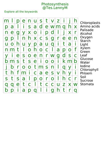 Photosynthesis - wordsearch
