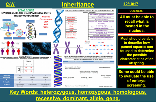 Genetic Inheritance, Inherited Disorders, Sex Determination | AQA B2 4.6 | New Spec 9-1 (2018)
