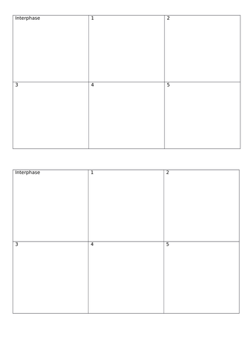 Mitosis differentiated story board sheet GCSE