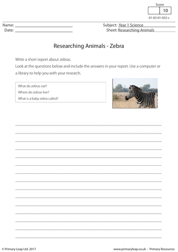 Researching Animals - Zebra