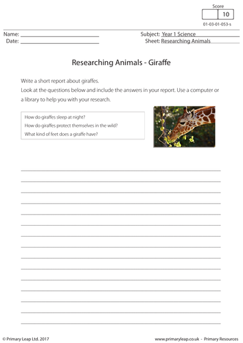 Researching Animals - Giraffe