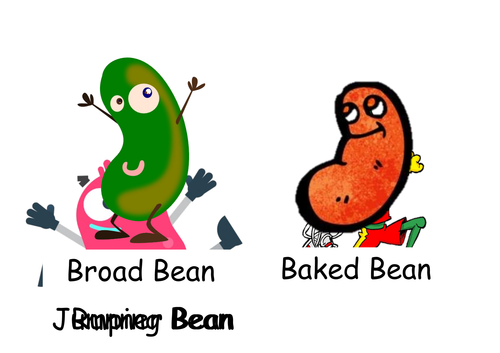 Bean Game Flash Cards